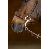 Set Nasenriemen Kinnkette Hackamore HFI Master Braun