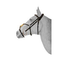 Bridon HFI mexikanisches Reithalfter Diamond Schwarz