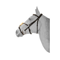 Mexikanisches Reithalfter HFI Schwarz