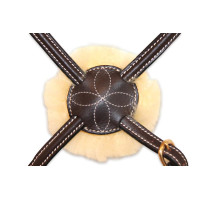 Mexikanisches Reithalfter...