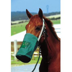 Musette-Canvas Musette-Canvas