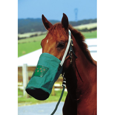 Musette-Canvas Musette-Canvas