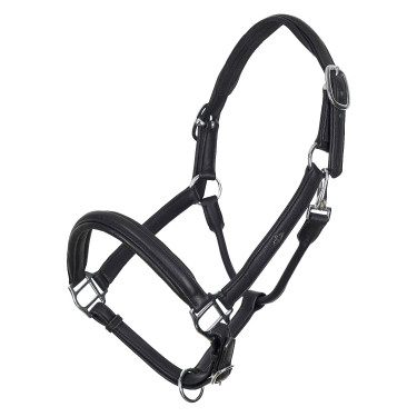 HV Polo Lederhalfter Soft HV Polo Lederhalfter Soft
