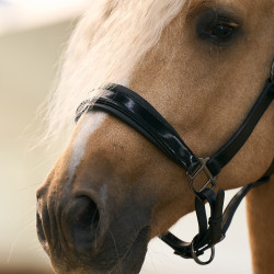 Halster Imperial Riding Hera Schwarz