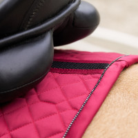 Satteldecke Euro-Star Cato GP Holunder Braun