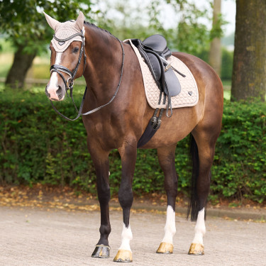 Satteldecke Euro-Star Cato DR Tundra Beige