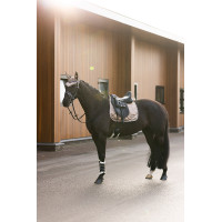 Fliegenhaube Imperial Riding Lovely Weiß Wei&szlig;