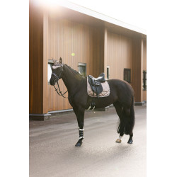 Fliegenhaube Imperial Riding Lovely Cappuccino Braun