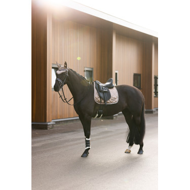 Fliegenhaube Imperial Riding Lovely Cappuccino Braun