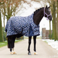 Paddock-Decke Imperial Riding Pandora 0gr Felsiges Pferd g.U. Motive Paddock-Decke Imperial Riding Pandora 0gr Felsiges Pferd g.U. Motive