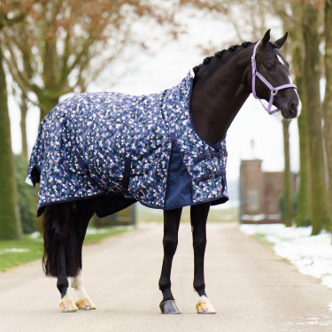 Paddock-Decke Imperial Riding Pandora 0gr Paddock-Decke Imperial Riding Pandora 0gr
