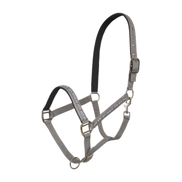 Halfter HV Polo Nena Stein Grau