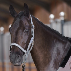 Halfter HV Polo Nena Stein Grau