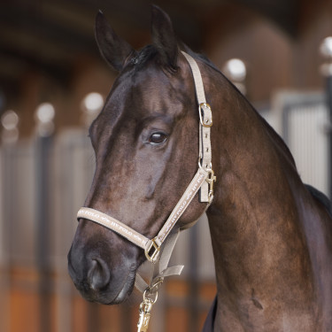 Halfter HV Polo Nena Kieselstein Grau