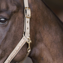 Halfter HV Polo Nena Kieselstein Grau