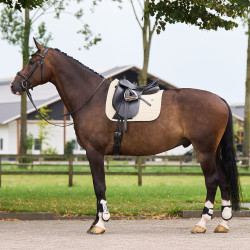 Schabracke HV Polo Essential Dressage Kaschmir Weiß