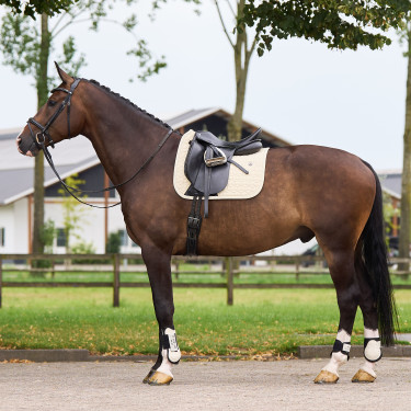 Schabracke HV Polo Essential Dressage Kaschmir Weiß