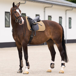 Schabracke HV Polo Essential Dressage Stroh Braun