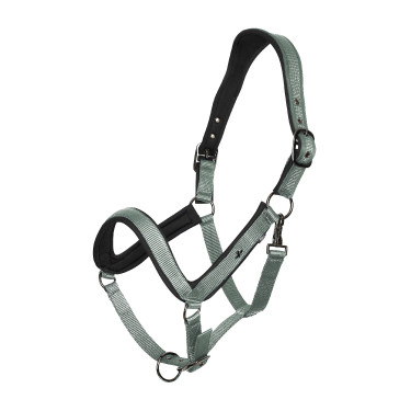 Halfter HV Polo Essential Grün Grün Halfter HV Polo Essential Grün Grün