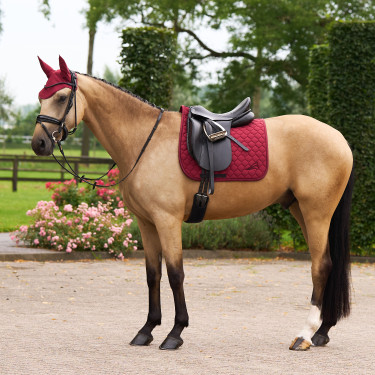 Fliegenhaube Euro-Star Coco Amarena Rot