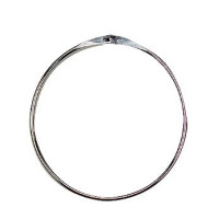 Präsentationsring Präsentationsring