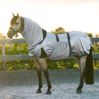 Ekzemerdecke Imperial Riding Silber