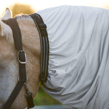 Ekzemerdecke Imperial Riding Silber