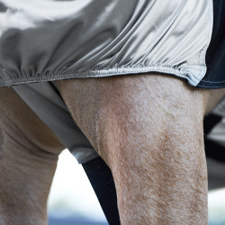 Ekzemerdecke Imperial Riding Silber