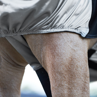 Ekzemerdecke Imperial Riding Silber