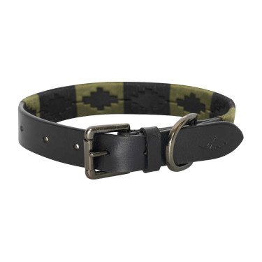 HV Polo Chaya Hundehalsband Grün Grün HV Polo Chaya Hundehalsband Grün Grün