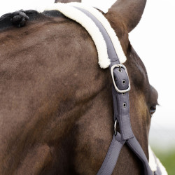 Imperial Riding Jewel Halfter Tornado Beige Imperial Riding Jewel Halfter Tornado Beige