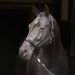 Halfter Imperial Riding Rebel Schwarz Halfter Imperial Riding Rebel Schwarz