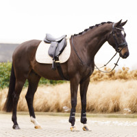 Satteldecke Imperial Riding Simone GP Latté Braun Satteldecke Imperial Riding Simone GP Latté Braun