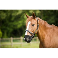 Korbmaulkorb Norton Korbmaulkorb Norton