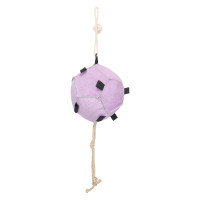 Stallspielzeug Horse Ball Imperial Riding Volley Up Ballerina Stallspielzeug Horse Ball Imperial Riding Volley Up Ballerina