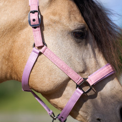 Halfter Imperial Riding Sparkle Ballerina Lila Halfter Imperial Riding Sparkle Ballerina Lila