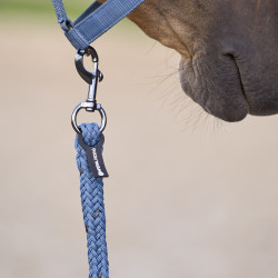 Anbindestrick Imperial Riding Deluxe mit einfachem Karabiner Mondstein Orange