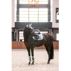 Gamaschen Lovely Imperial Riding Salbeigrün Grün Gamaschen Lovely Imperial Riding Salbeigrün Grün