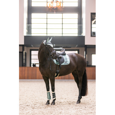 Gamaschen Lovely Imperial Riding Salbeigrün Grün Gamaschen Lovely Imperial Riding Salbeigrün Grün