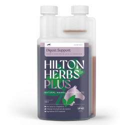 Digest support Plus Wettbewerb Hilton Herbs Digest support Plus Wettbewerb Hilton Herbs