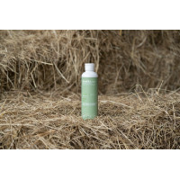 Massageöl Alodis Care Öl Fresh Massageöl Alodis Care Öl Fresh