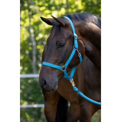 Halfter Hippo Covalliero Blau