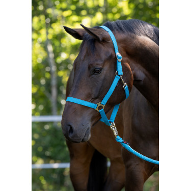 Halfter Hippo Covalliero Blau