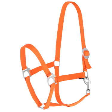 Halfter Hippo Covalliero Orange