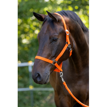 Halfter Hippo Covalliero Orange