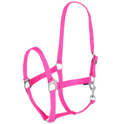 Halfter Hippo Covalliero Pink Rosa