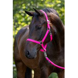 Halfter Hippo Covalliero Pink Rosa