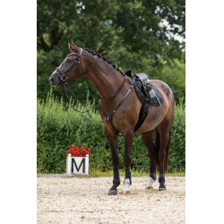 Trensenzaum Clincher Covalliero Schwarz