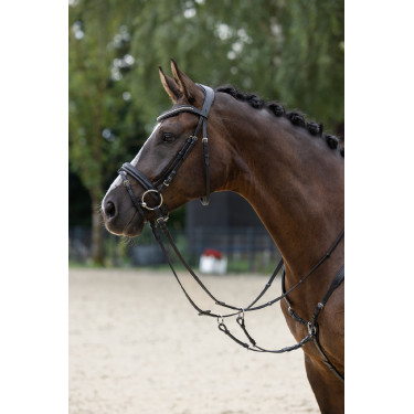 Trensenzaum Clincher Covalliero Trensenzaum Clincher Covalliero