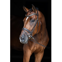 Trensenzaum Clincher Covalliero Braun